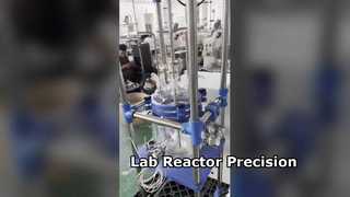 Reattore in vetro per la precisione del laboratorio farmaceutico